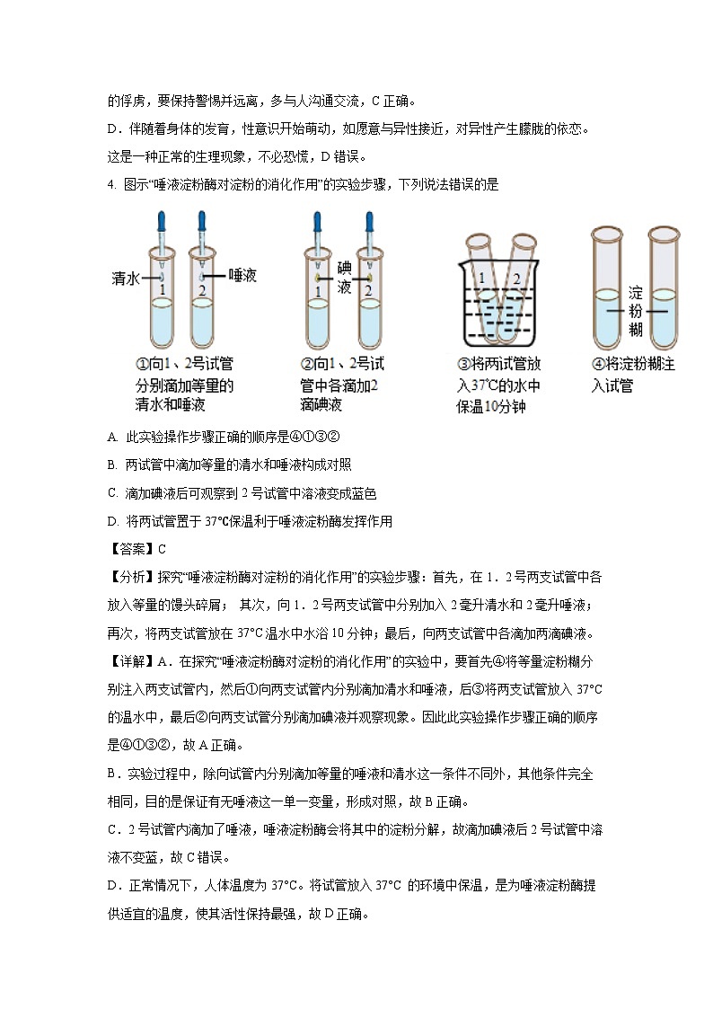 [生物][期末]河南省濮阳市2023-2024学年七年级下学期期末学试题(解析版)第3页
