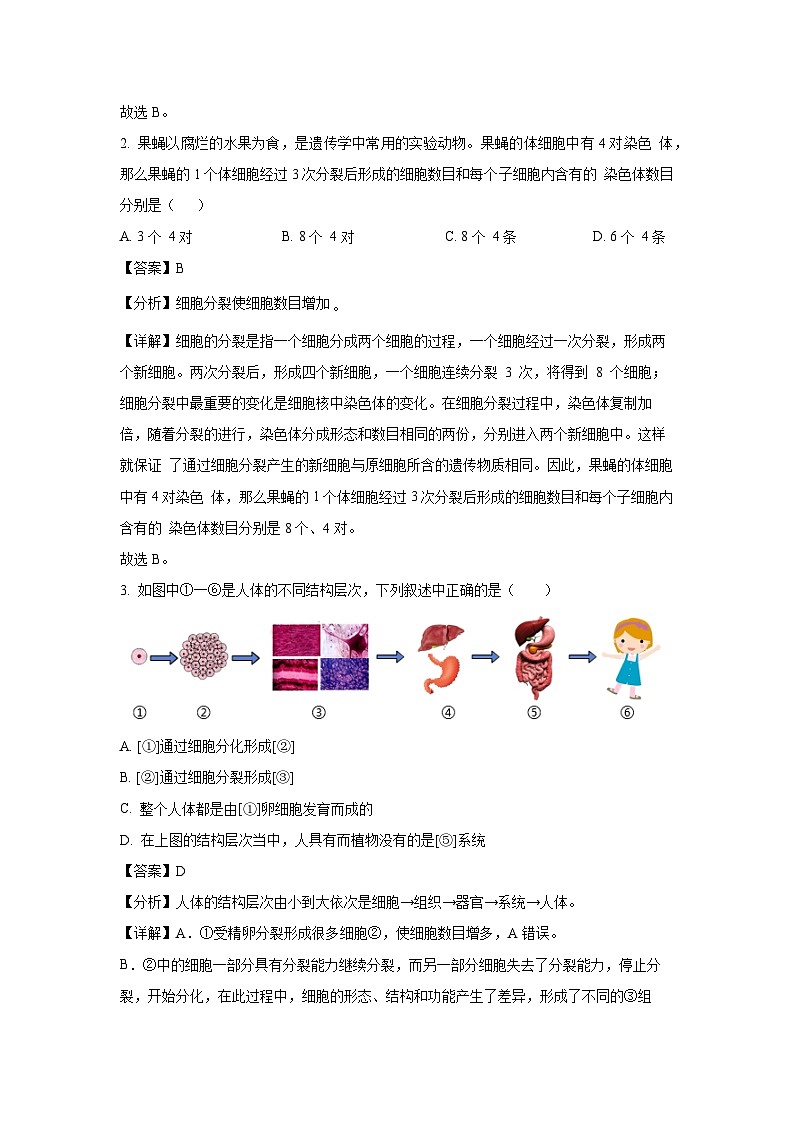 [生物][期中]河南省焦作市文昌初级多校2023-2024学年八年级下学期期中试题(解析版)第2页