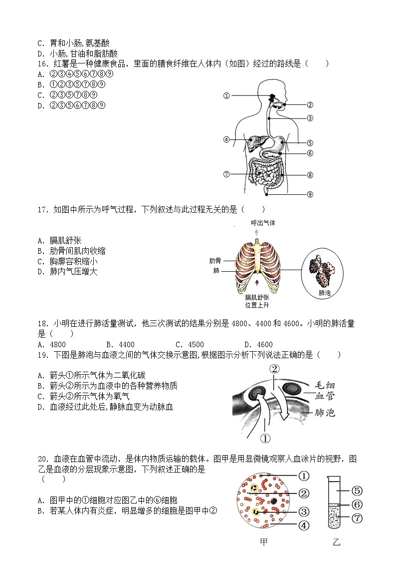广东省茂名市高州市荷花第一中学2024-2025学年八年级上学期开学生物试题第3页