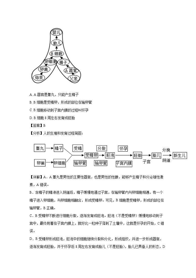 [生物][期末]内蒙古巴彦淖尔市2023-2024学年七年级下学期期末试题(解析版)第2页