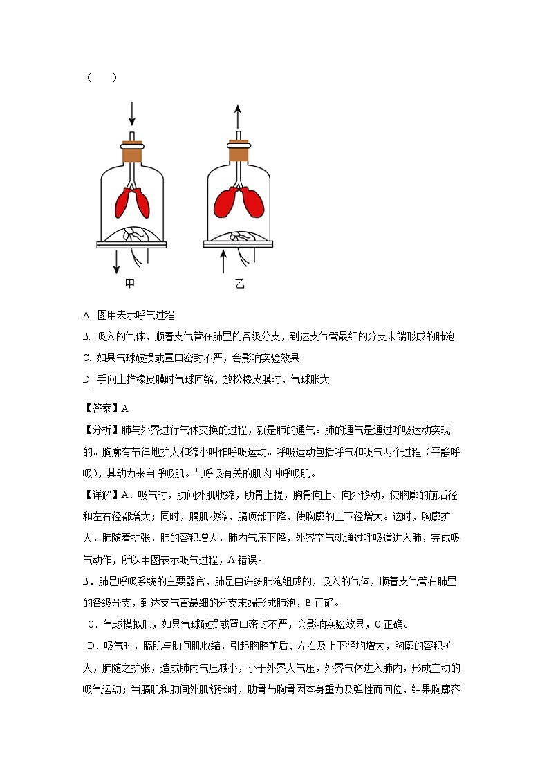 [生物][期末]四川省合江县2023-2024学年七年级下学期期末试题(解析版)第3页