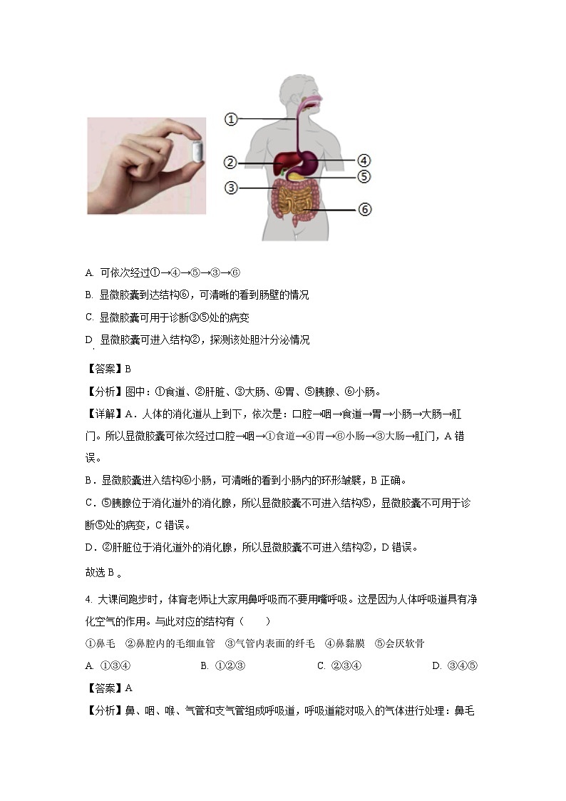 [生物][期末]山东省菏泽市东明县2023-2024学年七年级下学期期末试题(解析版)第3页