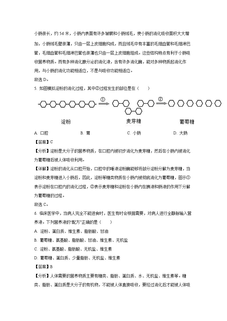 [生物][期末]江西省赣州市寻乌县2023-2024学年七年级下学期期末试题(B卷)(解析版)第3页