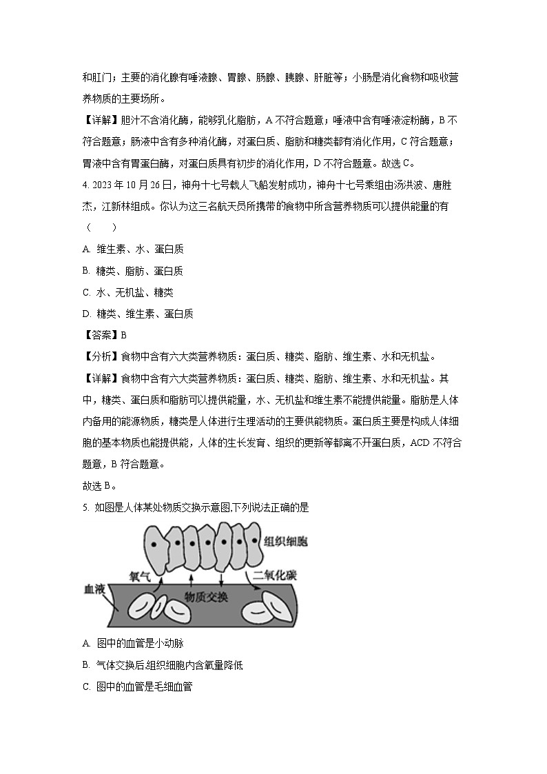 [生物][期末]辽宁省沈阳市于洪区2023-2024学年七年级下学期期末试题(解析版)02
