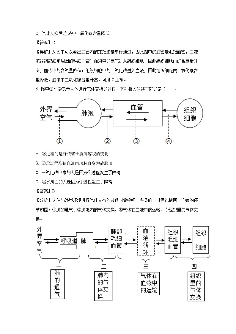 [生物][期末]辽宁省沈阳市于洪区2023-2024学年七年级下学期期末试题(解析版)03