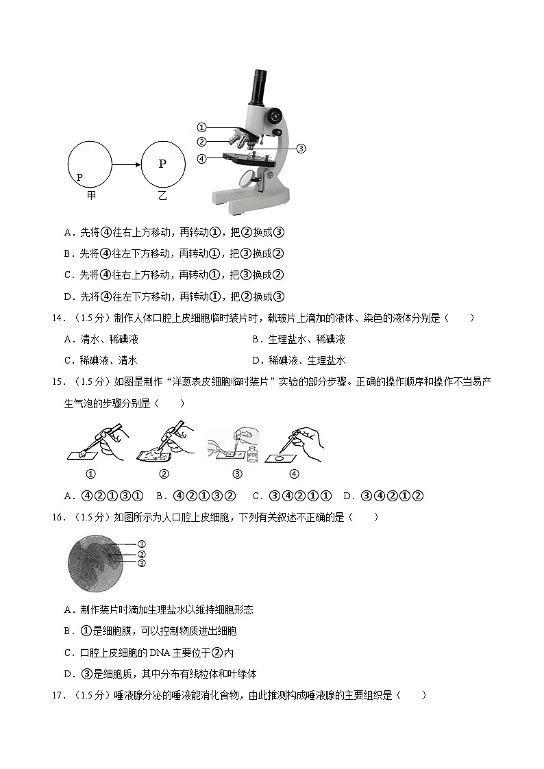 云南省临沧市凤庆县2021-2022学年七年级上学期期末考试生物试题第3页