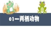 人教版生物八年级上册5.1.5《两栖动物和爬行动物》课件
