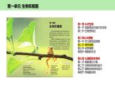 人教版生物七年级上册1.2.2《植物细胞》课件