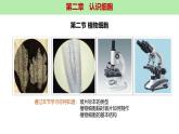人教版生物七年级上册1.2.2《植物细胞》课件