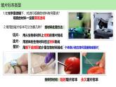 人教版生物七年级上册1.2.2《植物细胞》课件