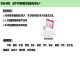 人教版生物七年级上册1.2.2《植物细胞》课件