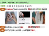 人教版生物七年级上册1.2.2《植物细胞》课件