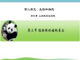 人教版生物七年级上册1.3.3《植物体的结构层次》课件