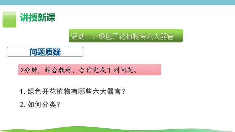 人教版生物七年级上册1.3.3《植物体的结构层次》课件04