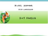 人教版生物七年级上册1.3.4《单细胞生物》课件