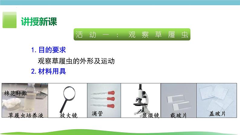 人教版生物七年级上册1.3.4《单细胞生物》课件04