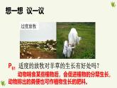 人教版生物八年级上册5.3《动物在生物圈中的作用》课件