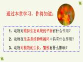 人教版生物八年级上册5.3《动物在生物圈中的作用》课件