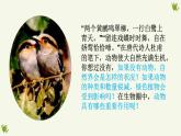人教版生物八年级上册5.3《动物在生物圈中的作用》课件