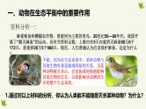 人教版生物八年级上册5.3《动物在生物圈中的作用》课件