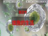 七年级生物上册（人教版2024）1.2.4《细胞的生活》课件