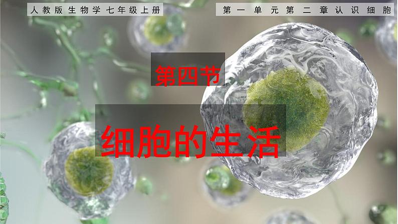 七年级生物上册（人教版2024）1.2.4《细胞的生活》课件01