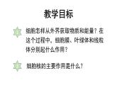 七年级生物上册（人教版2024）1.2.4《细胞的生活》课件