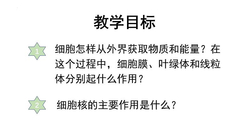 七年级生物上册（人教版2024）1.2.4《细胞的生活》课件02