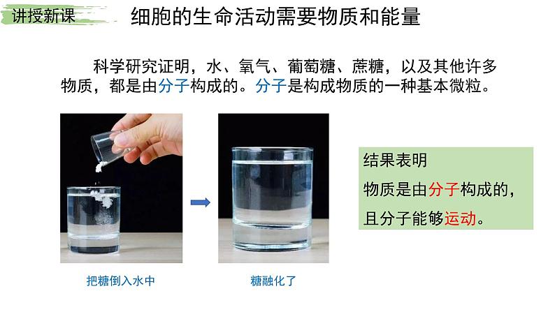 七年级生物上册（人教版2024）1.2.4《细胞的生活》课件04