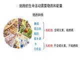七年级生物上册（人教版2024）1.2.4《细胞的生活》课件
