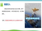 人教版生物七年级上册1.3.1《细胞通过分类产生新细胞》课件