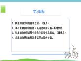 人教版生物七年级上册1.3.1《细胞通过分类产生新细胞》课件
