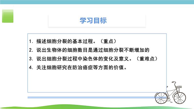 人教版生物七年级上册1.3.1《细胞通过分类产生新细胞》课件03