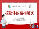 人教版生物（2024）七年级上册第一单元 生物和细胞 第三章 从细胞到生物体 第三节 植物体的结构层次 课件