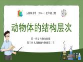 人教版生物（2024）七年级上册第一单元 生物和细胞 第三章 从细胞到生物体第二节 动物体的结构层次 课件