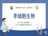人教版生物（2024）七年级上册第一单元 生物和细胞 第三章 从细胞到生物体 第四节 单细胞生物 课件