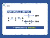 人教版生物（2024）七年级上册第一单元 生物和细胞 第三章 从细胞到生物体 第四节 单细胞生物 课件