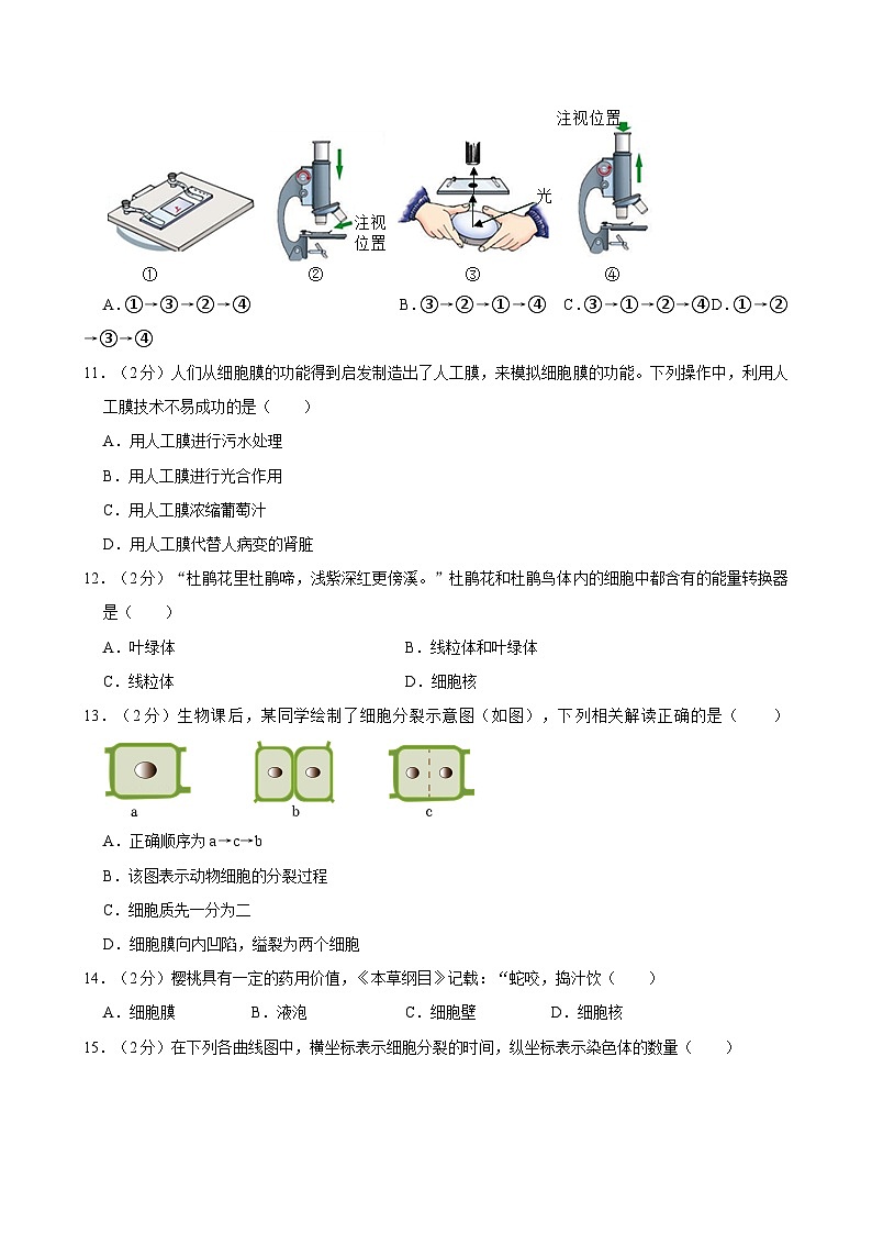 广西来宾市2023-2024学年七年级上学期期中生物试卷第3页