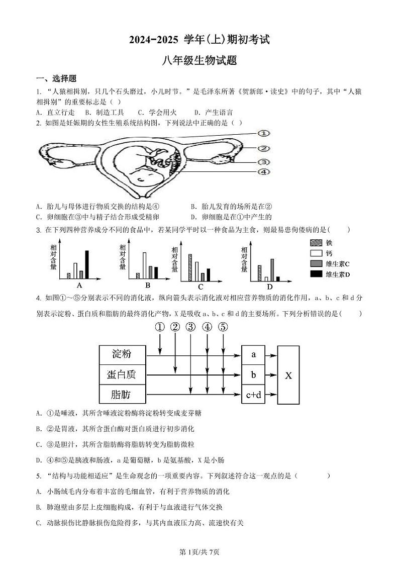 山东省聊城市冠县育才双语学校2024-2025学年八年级上学期开学考试生物试题第1页