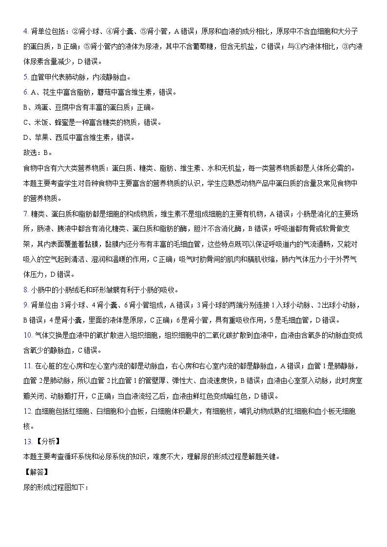 河北省石家庄市第三十八中学2023-2024学年七年级下学期期中考试生物试题03