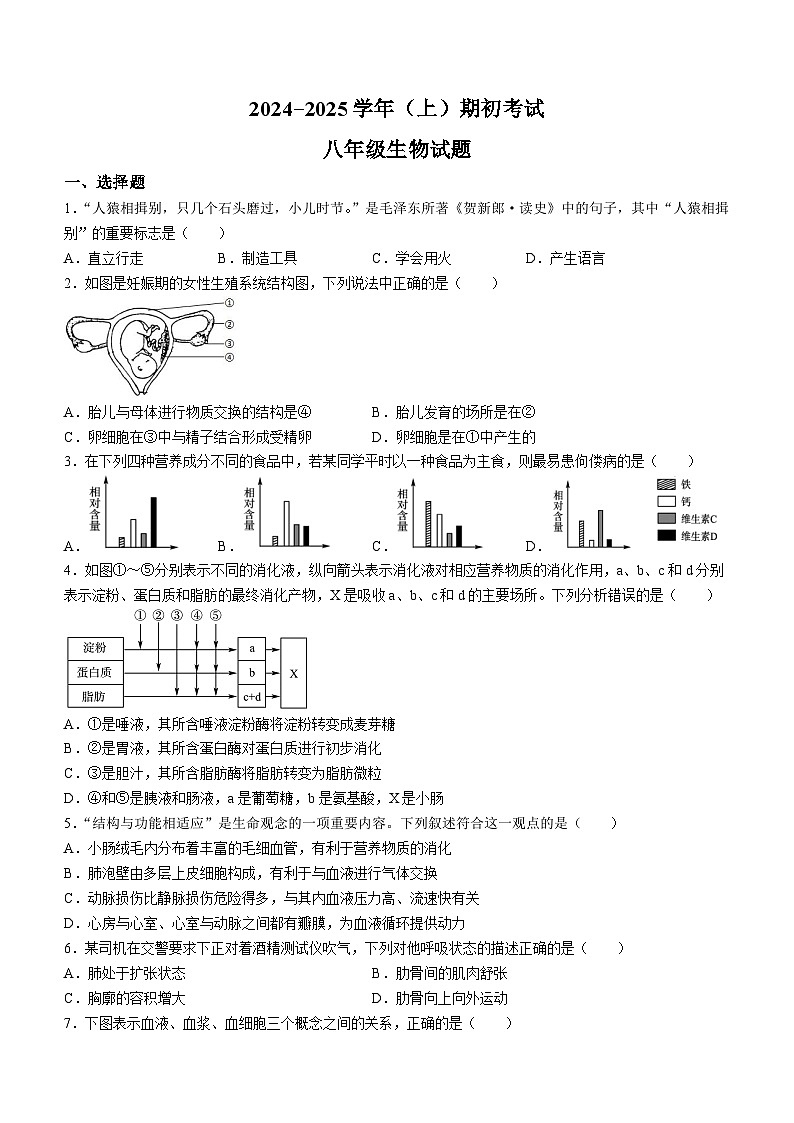 山东省聊城市冠县育才双语学校2024-2025学年八年级上学期开学考试生物试题(无答案)第1页