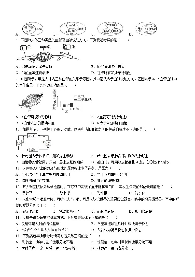 山东省聊城市冠县育才双语学校2024-2025学年八年级上学期开学考试生物试题(无答案)第2页