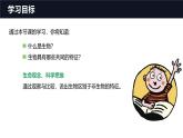 1.1.2生物的特征课件人教版生物七年级上册2024新教材