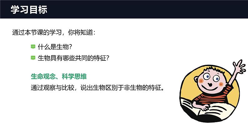 1.1.2生物的特征课件人教版生物七年级上册2024新教材03