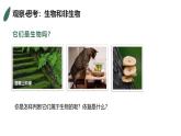 1.1.2生物的特征课件人教版生物七年级上册2024新教材