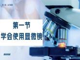 1.2.1学习使用显微镜课件人教版生物七年级上册2024新教材