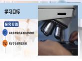 1.2.1学习使用显微镜课件人教版生物七年级上册2024新教材