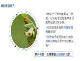 1.2.1学习使用显微镜课件人教版生物七年级上册2024新教材