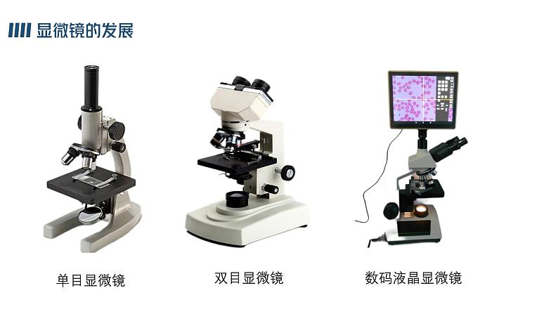 1.2.1学习使用显微镜课件人教版生物七年级上册2024新教材06