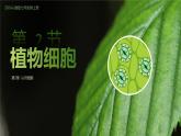 1.2.2植物细胞课件人教版生物七年级上册2024新教材